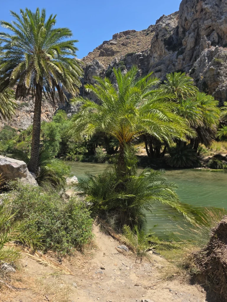 Wycieczki fakultatywne Kreta